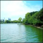 駕与丁公園