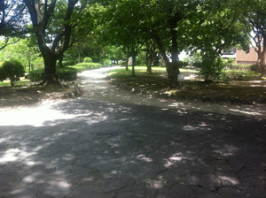 室見川河畔公園