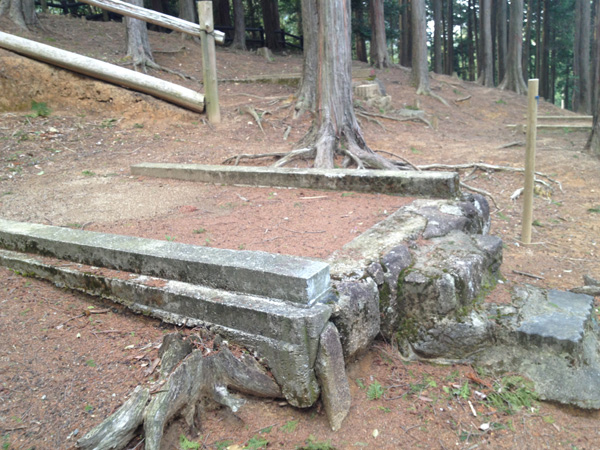 油山市民の森キャンプ場