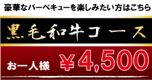 一般黒毛和牛コース