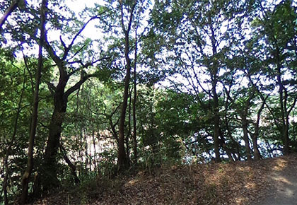 畑キャンプセンター