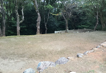 金比羅キャンプ場テントサイト