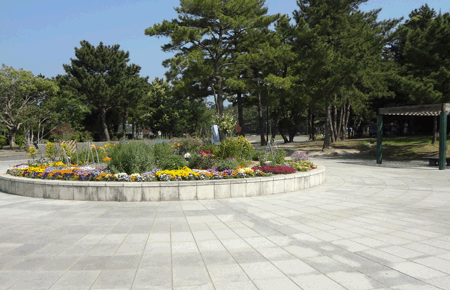 整備された公園